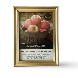 Special Moments Gold Tone Picture Frane